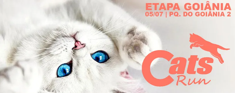 Cats Run Goiânia