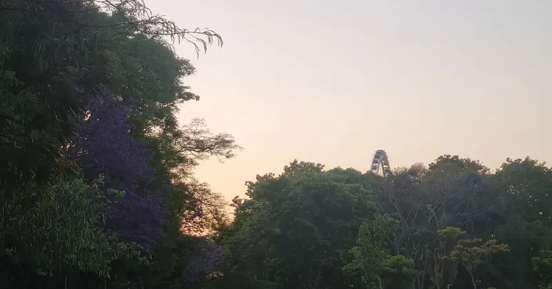 Wings for Life World Run