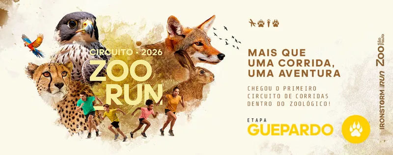 Circuito Zoo Run - Etapa Guepardo