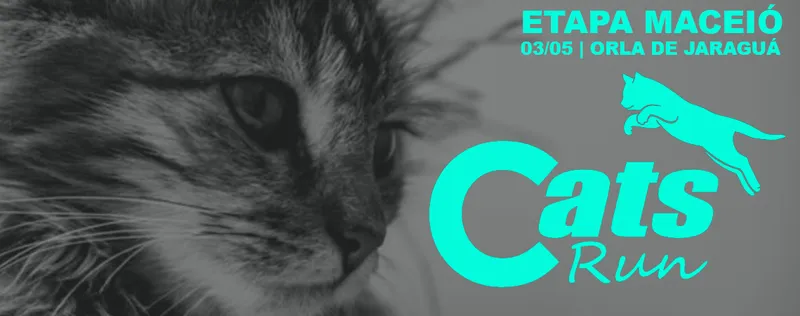 Cats Run - Maceió